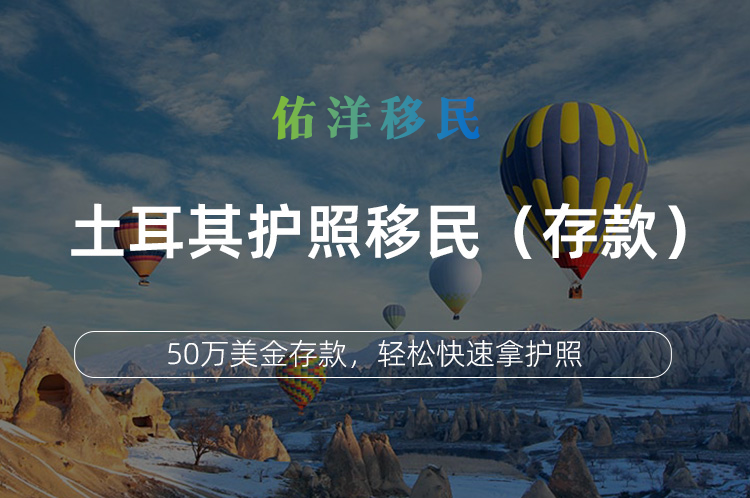 土耳其护照移民（存款）